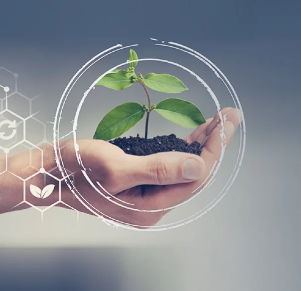 Diferencia entre ética empresarial y RSE