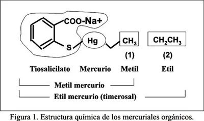 Diferencia entre etilmercurio y metilmercurio