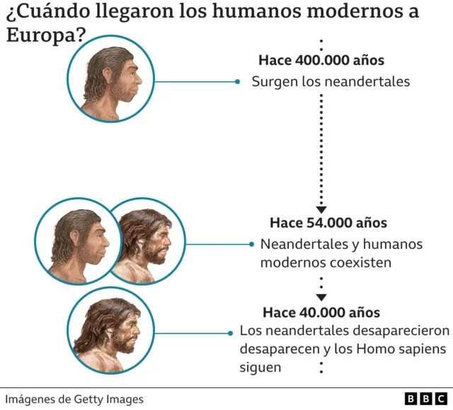Diferencia entre neandertales y humanos