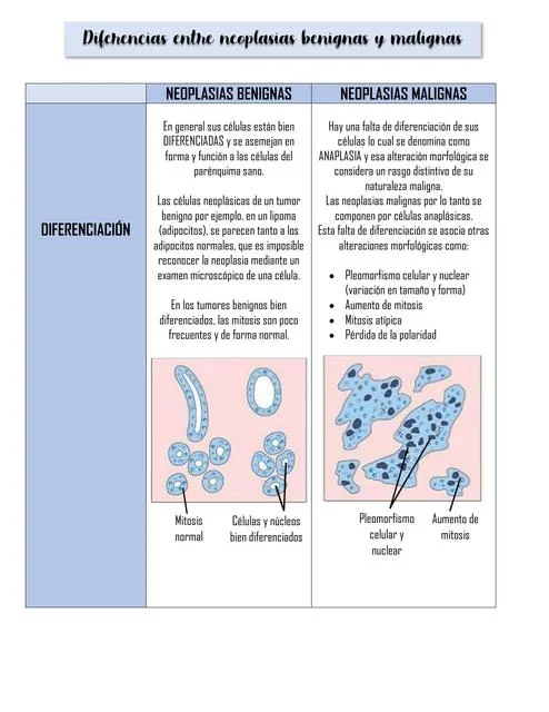 Diferencia entre neoplasia y neoplasia