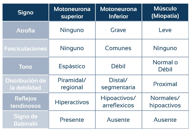Diferencia entre neurona motora superior e inferior
