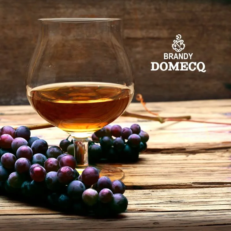 Diferencia entre ron brandy y whisky
