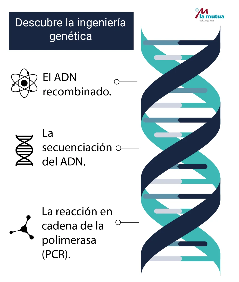 ¿Qué es la ingeniería genética?