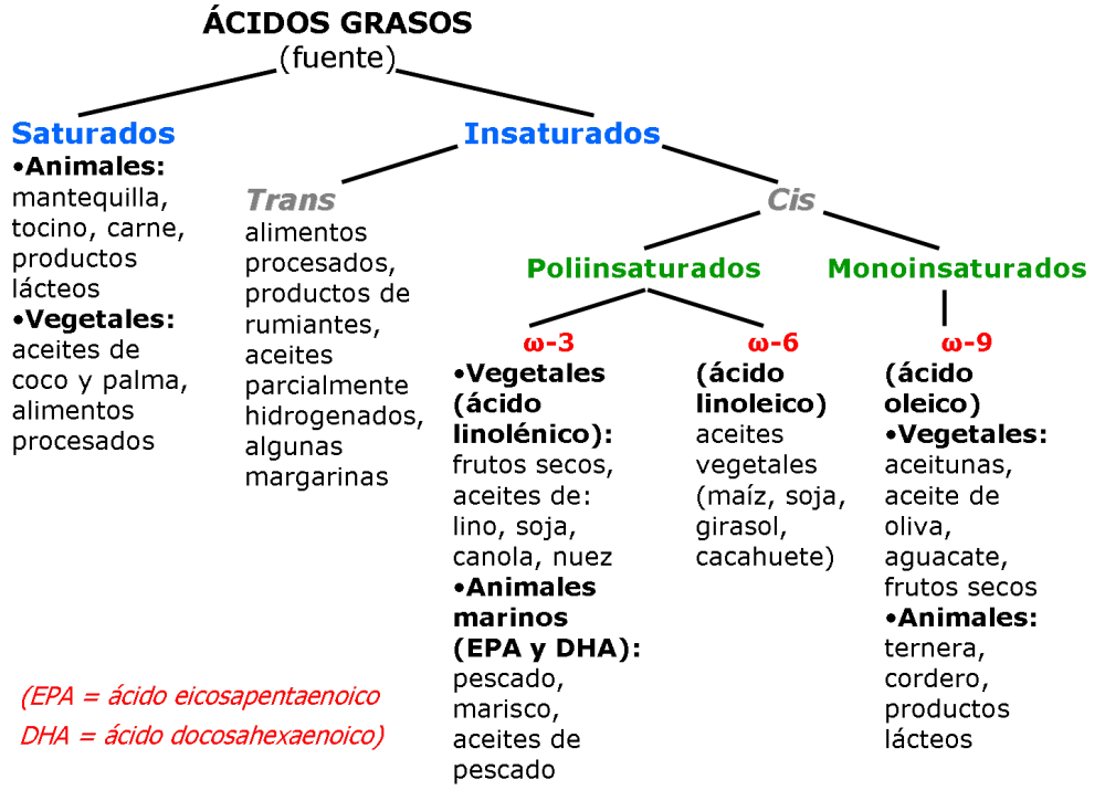 Diferencia entre ácidos grasos monoinsaturados y poliinsaturados Ciencia