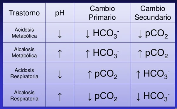 Diferencia entre acidosis metabólica y respiratoria Ciencia