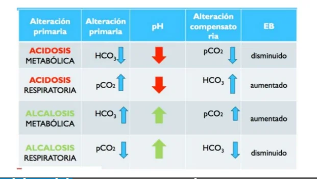 Diferencia entre acidosis y alcalosis Ciencia