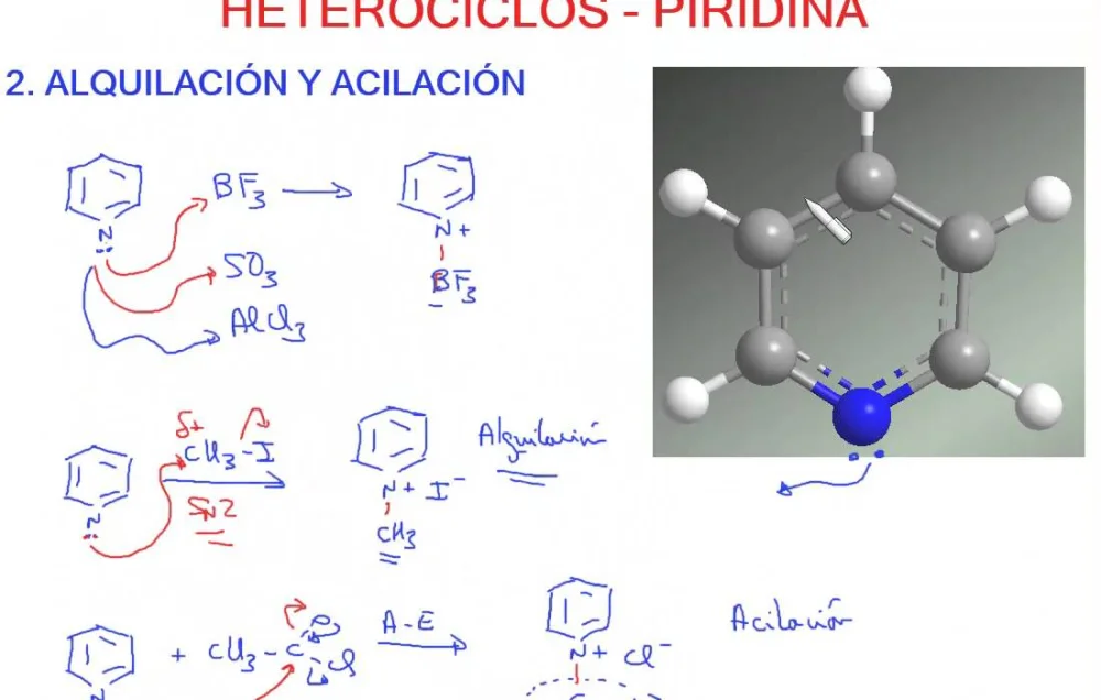Diferencia entre acilación y acetilación Ciencia
