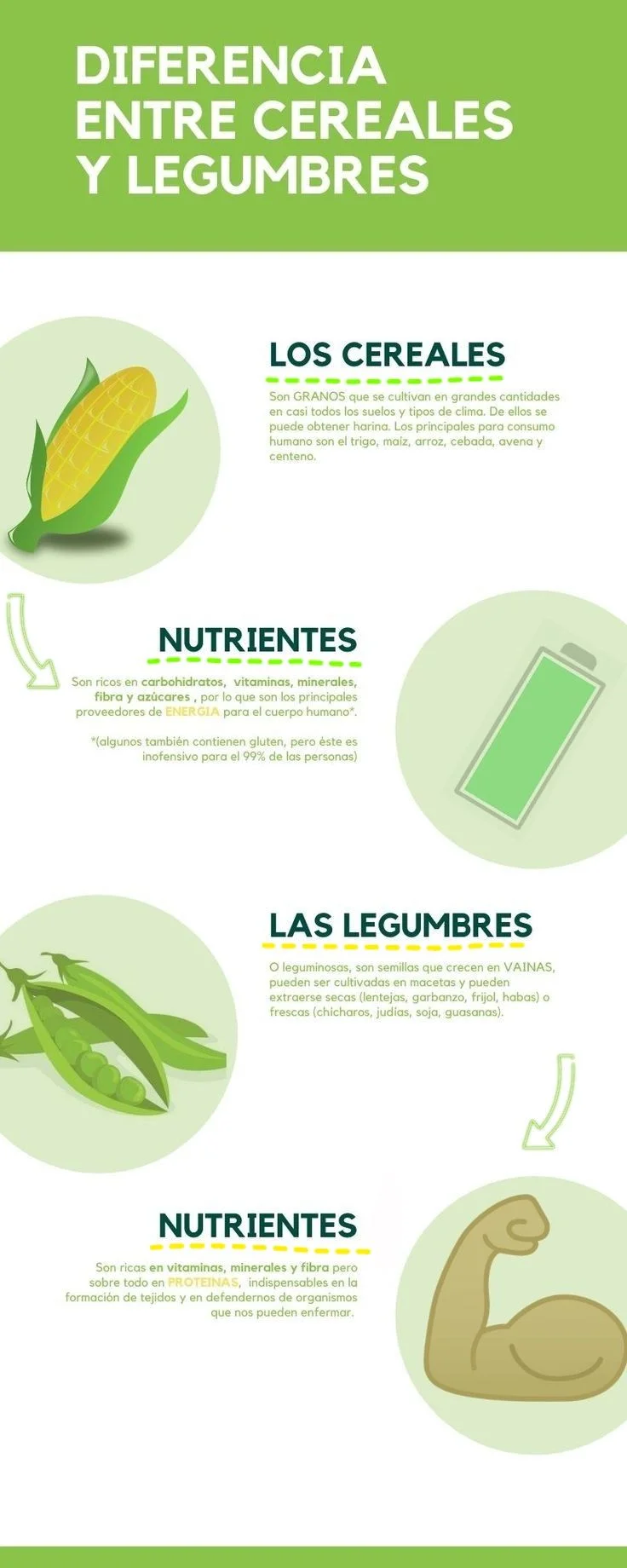 Diferencia entre cereales y legumbres