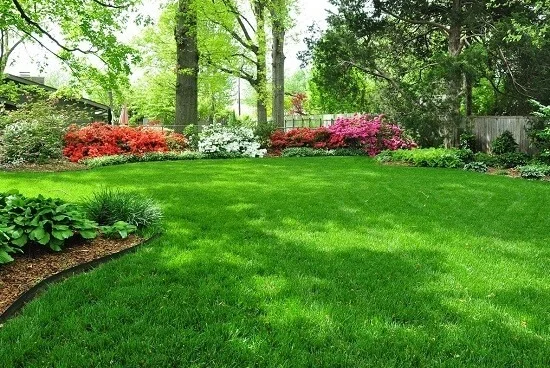 Diferencia entre césped y jardín