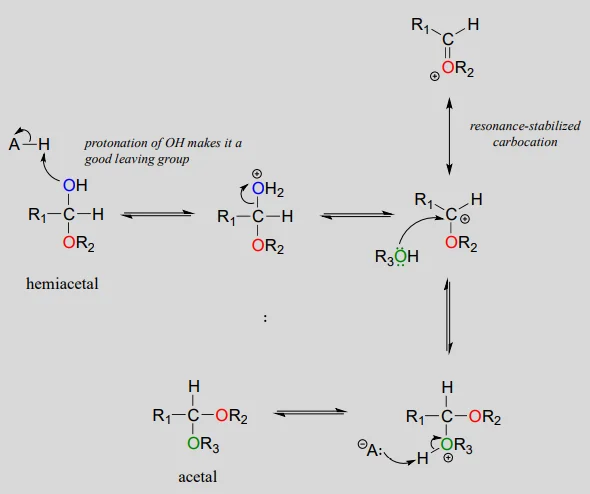 Diferencia entre cetal y acetal