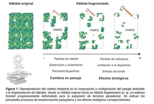 Diferencia entre el cambio de hábitat y la fragmentación del hábitat
