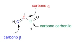 Diferencia entre el carbono alfa y el carbono beta