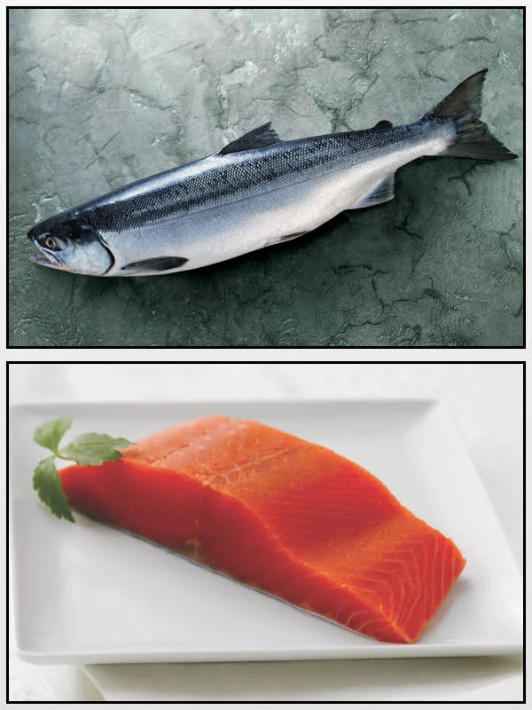 Diferencia entre el salmón rojo y el rosado