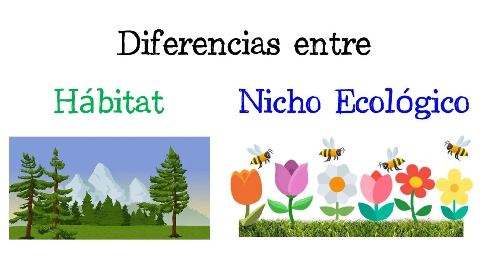 Diferencia entre hábitat y nicho