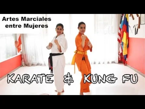 Diferencia entre karate y kung fu