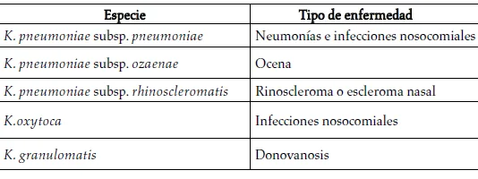 Diferencia entre Klebsiella oxytoca y Klebsiella pneumoniae