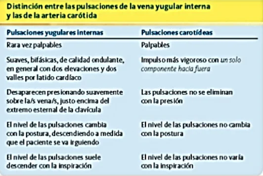 Diferencia entre la pulsación carotídea y la yugular
