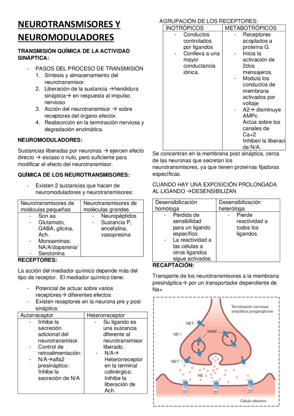 Diferencia entre neurotransmisor y neuromodulador