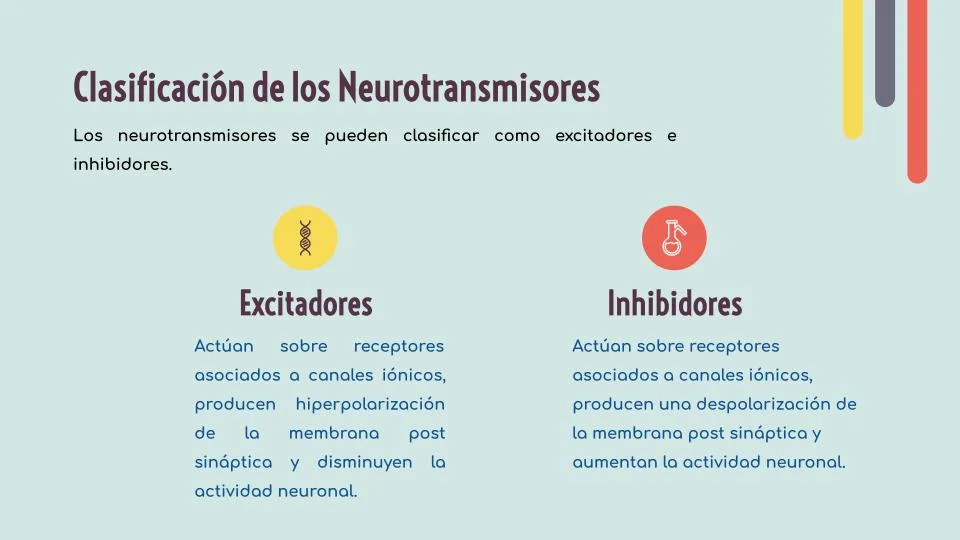Diferencia entre neurotransmisores excitatorios e inhibidores
