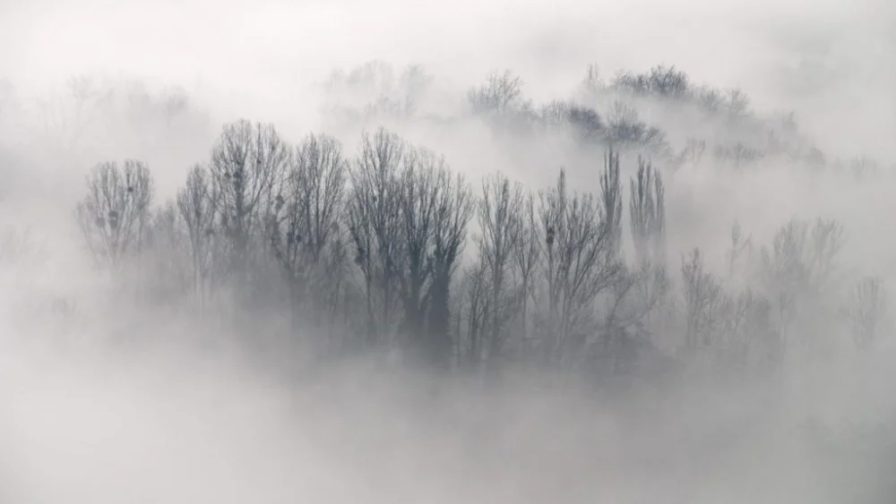 Diferencia entre niebla y neblina