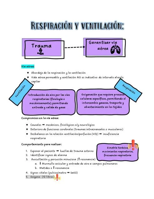 Diferencia entre ventilación y respiración