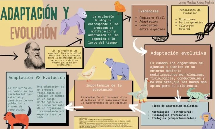 Diferencia entre adaptación y evolución Ciencia