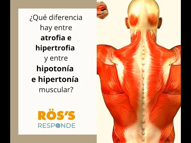 Diferencia entre atrofia e hipertrofia