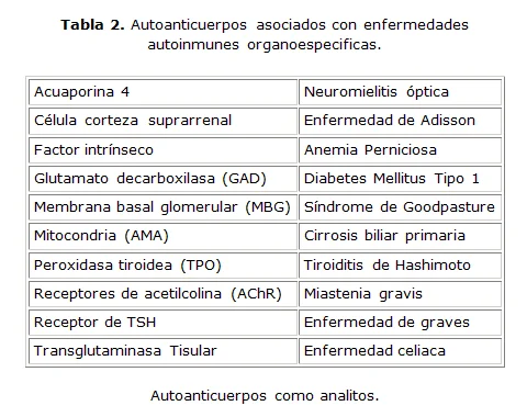 Diferencia entre autoanticuerpos y aloanticuerpos