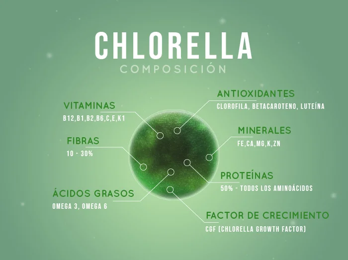 Diferencia entre Chlorella vulgaris y Pyrenoidosa