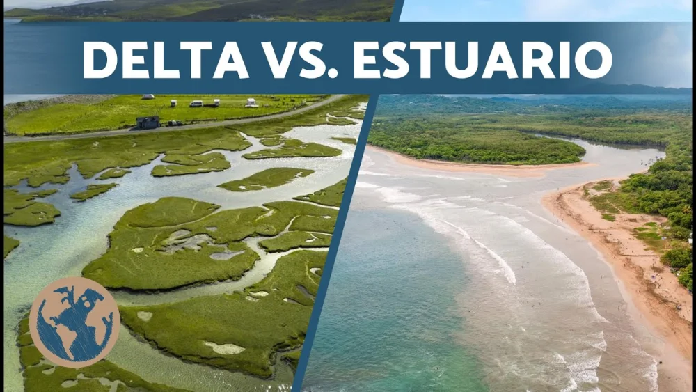 Diferencia entre delta y estuario
