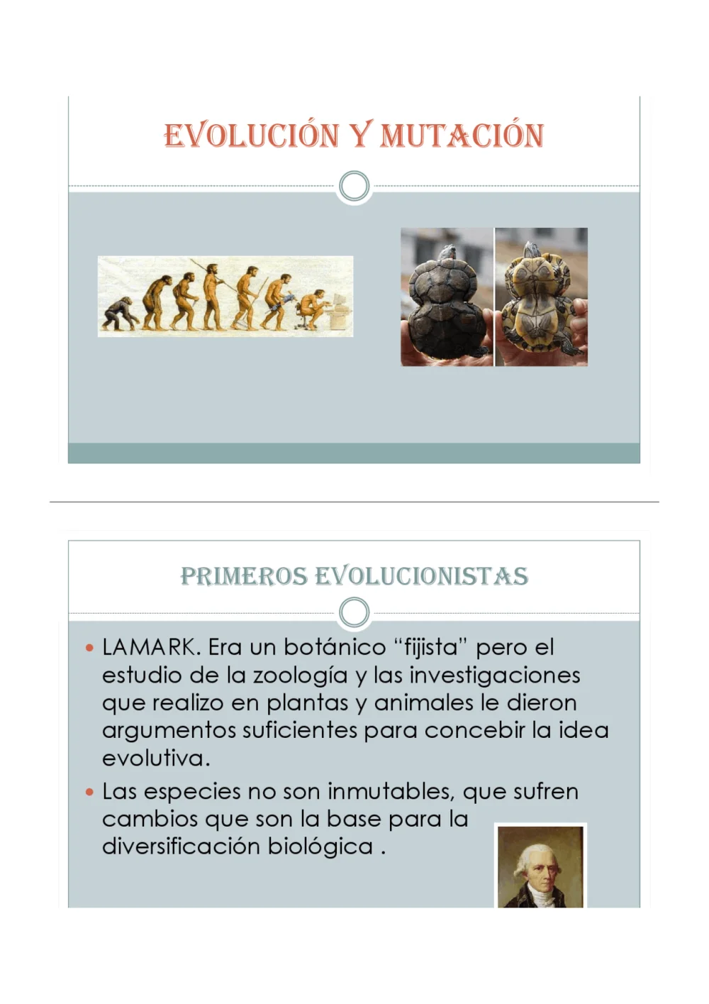 Diferencia entre evolución y mutación