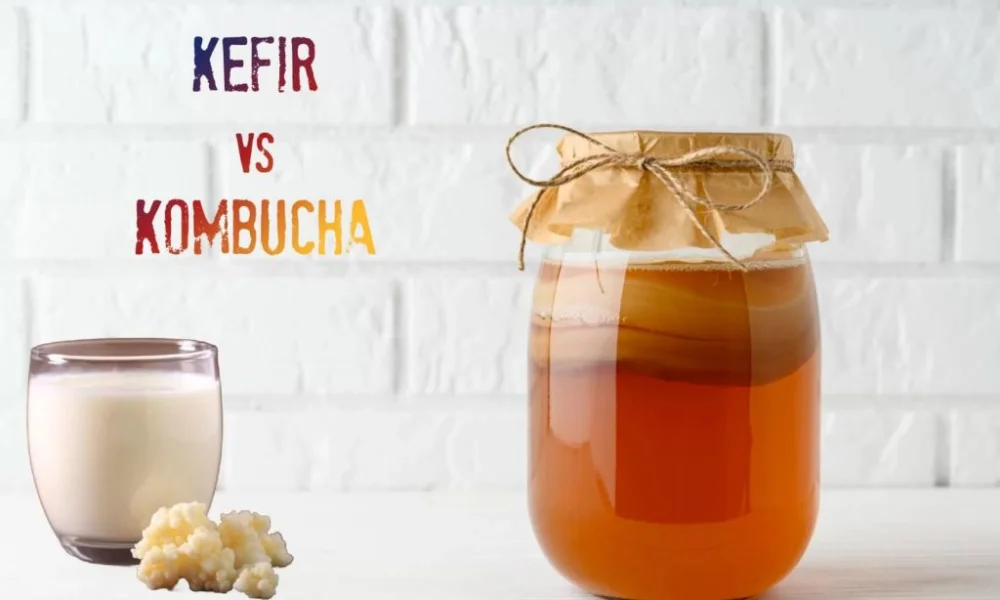 Diferencia entre kombucha y kéfir