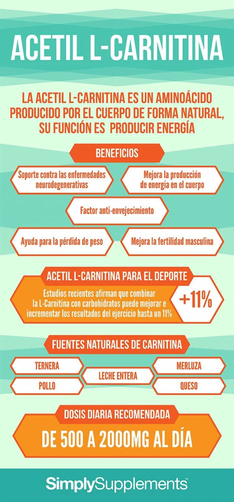 Diferencia entre L-arginina y L-carnitina