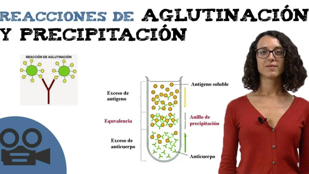 Diferencia entre la reacción de precipitación y la de neutralización