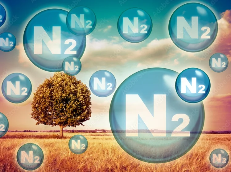 Diferencia entre nitrógeno líquido y nitrógeno gaseoso