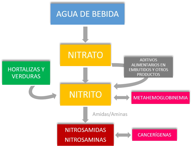 Diferencia entre nitrógeno y nitrato