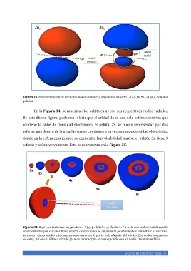 Diferencia entre nodos radiales y angulares