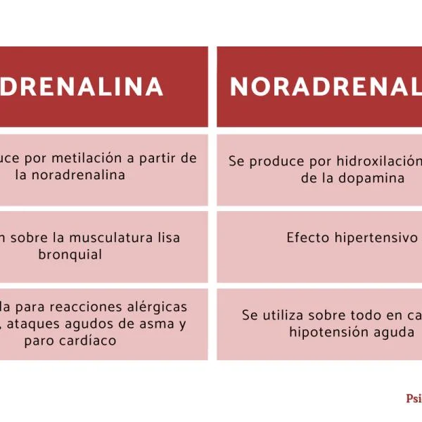 Diferencia entre noradrenalina y epinefrina