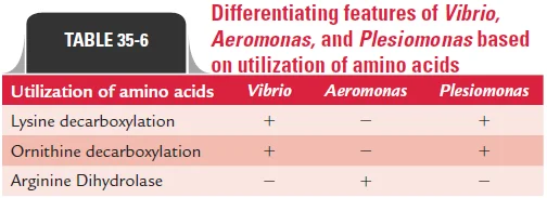 Diferencia entre Vibrio Aeromonas y Plesiomonas
