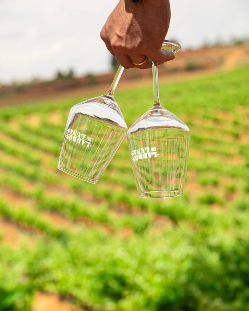 Diferencia entre viñedo y bodega