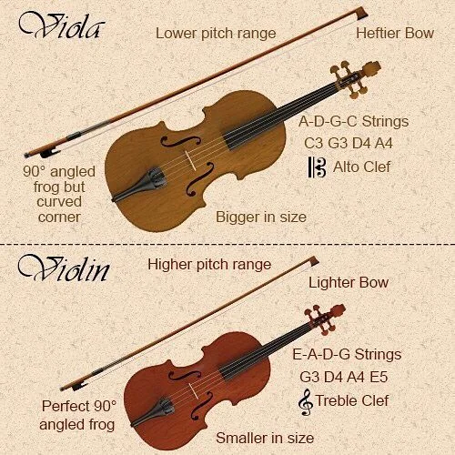 Diferencia entre violín y violín