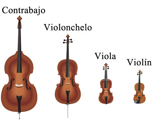 Diferencia entre violonchelo y contrabajo