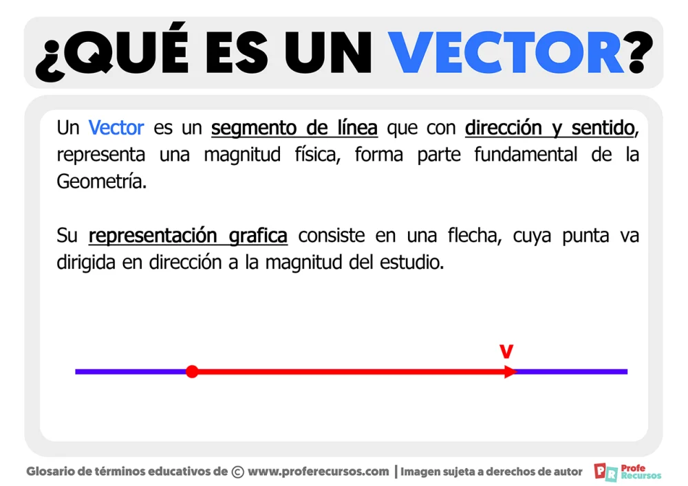 ¿Qué es un vector?