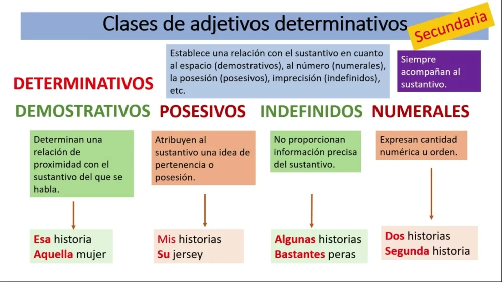 Diferencia entre adjetivo y determinante Idiomas