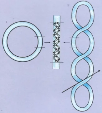 Diferencia entre ADN lineal y circular Ciencia