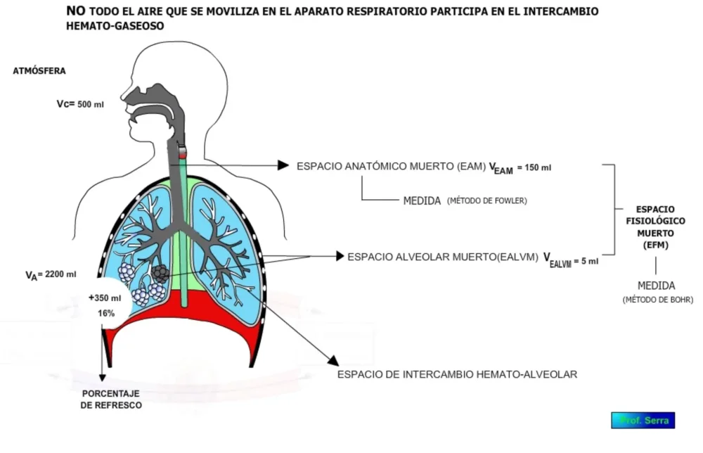 Diferencia entre derivación y espacio muerto