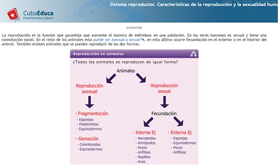 Diferencia entre el sistema reproductor masculino y femenino