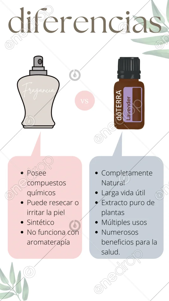 Diferencia entre extracto y aceite esencial