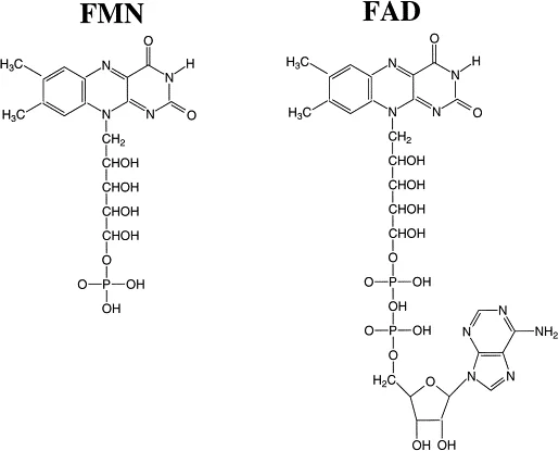 Diferencia entre FAD y FMN