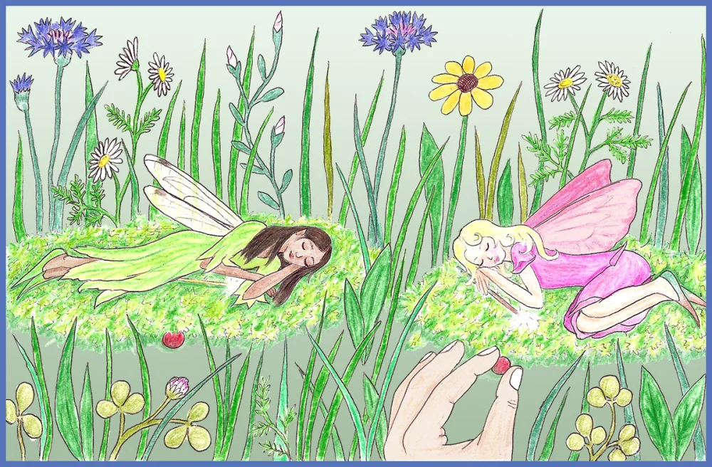 Diferencia entre Fae y Fairy